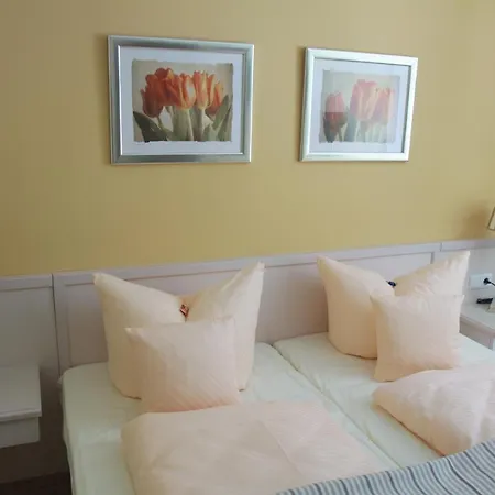 Wellness-pension Altes Kurhaus Luckendorf 4*
