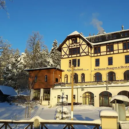 Wellness-pension Altes Kurhaus Luckendorf 4*