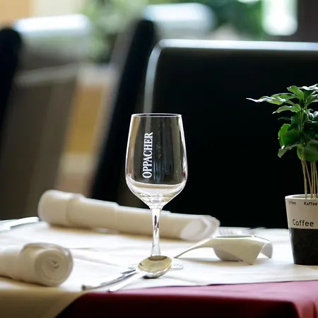 Wellness-pension Altes Kurhaus Luckendorf 4* Luftkurort Lückendorf